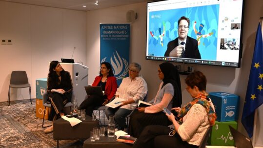 ENGSO EWS at the United Nations Human Rights Regional Consultation for Europe
